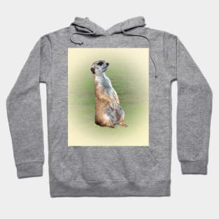 Meerkat Hoodie